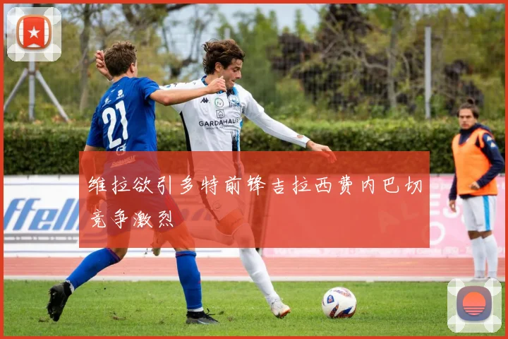 维拉欲引多特前锋吉拉西费内巴切竞争激烈