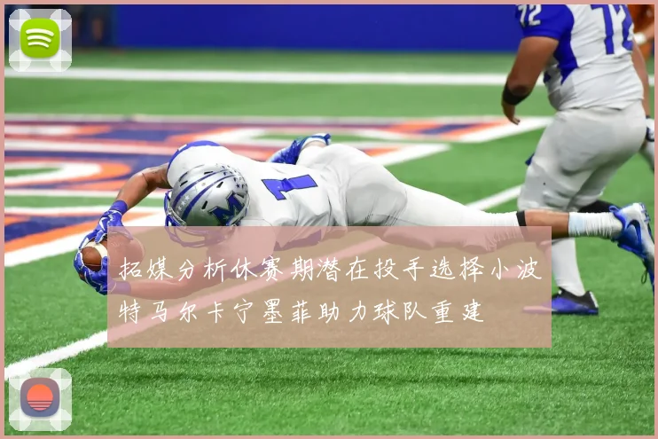 拓媒分析休赛期潜在投手选择小波特马尔卡宁墨菲助力球队重建